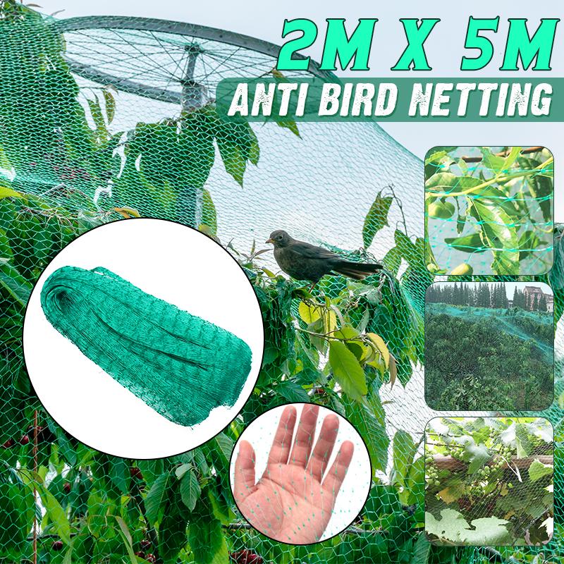 Buy 2 X 5m/ 2 X 10m Anti Bird Netting Pond Green Net Protect Tree Crops