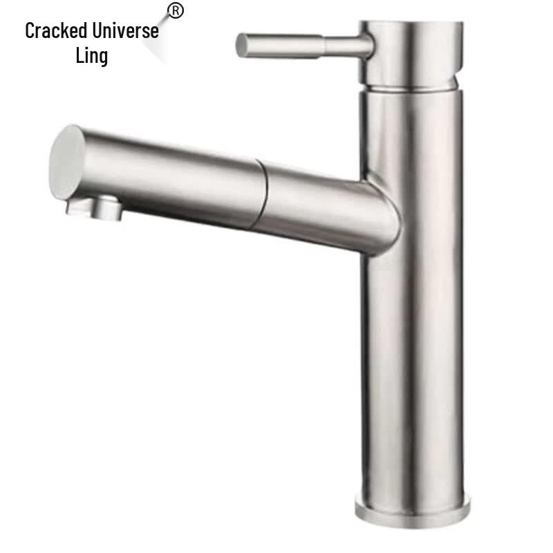 304 Stainless Steel Pull-Out Basin Faucet