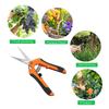 Stainless Steel Pruning & Picking Scissors for Rare Fruits and Flowers