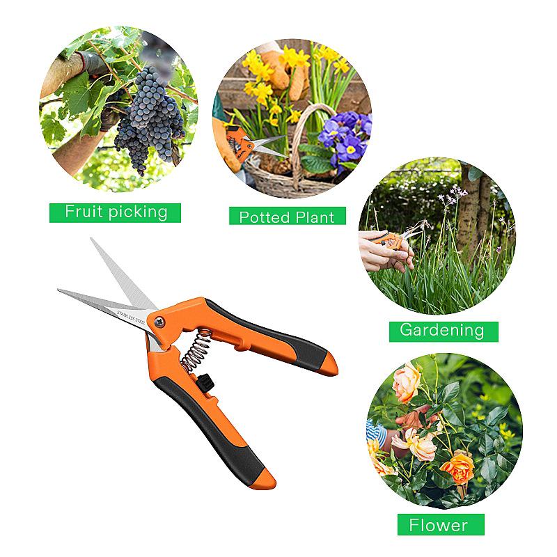 Stainless Steel Pruning & Picking Scissors for Rare Fruits and Flowers