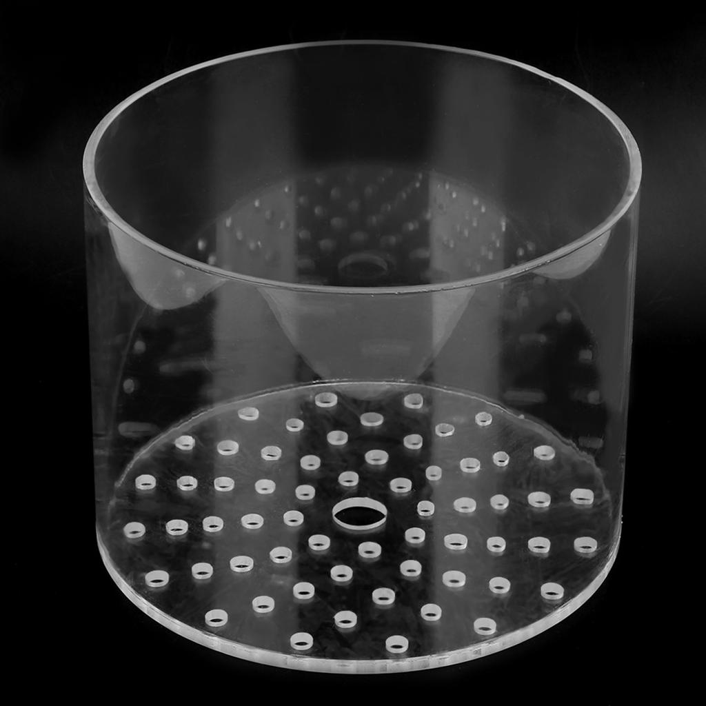 Acrylic Transparent Coral Feeder Cover Anti Feeding Shrimp for Aquarium Fish Tank