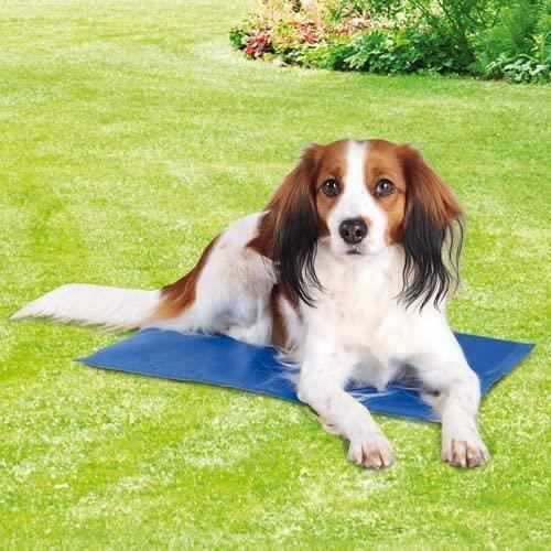 Matelas Rafraîchissant Pour Chien XL-XXL - Trixie - Protège Siège - Bleu