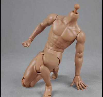 COOMODEL COO BD003 Male Action Body for Figures [TOYBARJAPAN] 1/6
