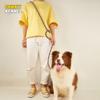 Cães – Colares e correias para cães