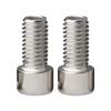 Stainless Steel Hex Socket Head Cap Screw M3-M12, 201 Grade