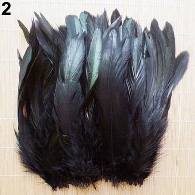 50 Adet 13-20 cm Doğal Güzel Horoz Horoz Kuyruk Tüyleri DIY Giysi Dekor için