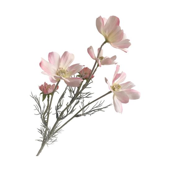 Artificial Cosmos Flowers 6 Heads Faux Silk Cosmos with Stem Fake Wildflower Bouquet светло-розовый