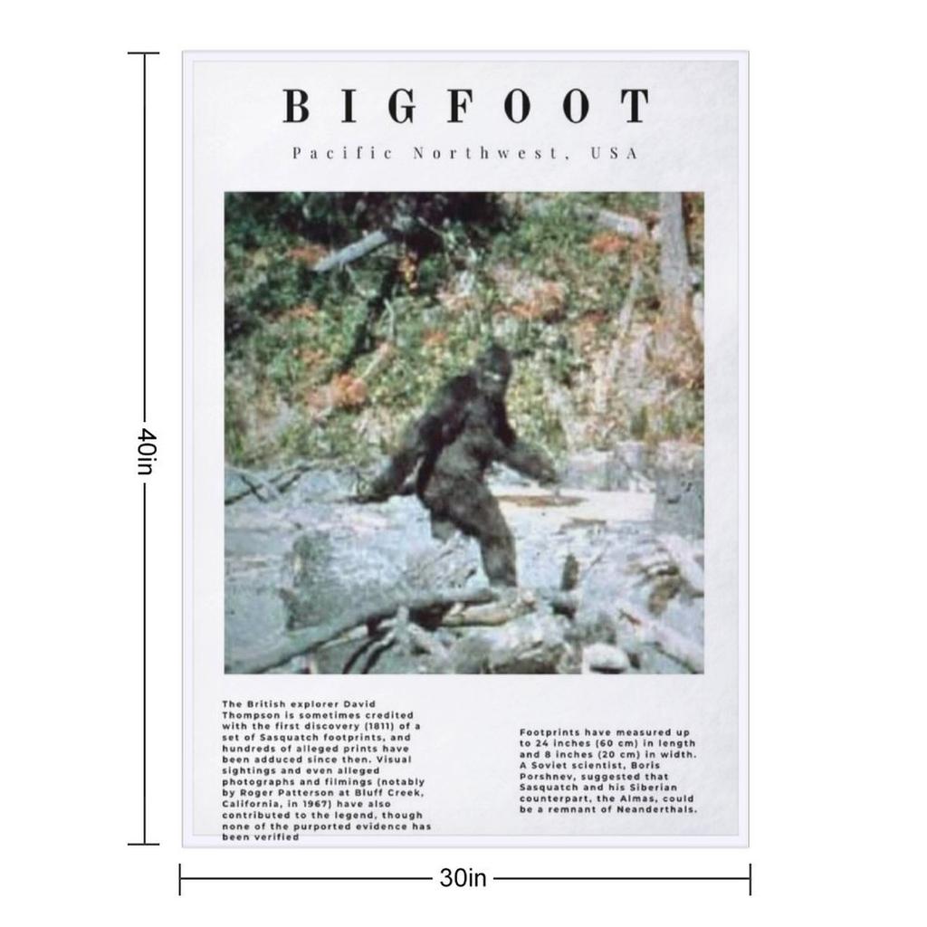 Minimalist Cryptids: Bigfoot Throw Blanket for babies Picnic bed plaid Plush Blankets