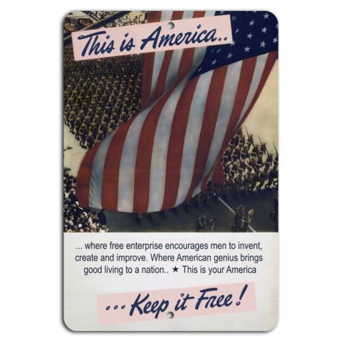America Embrace Free Enterprise Keep It FreeAluminumtin sign 20x30cm（7.8x11.8inch）