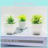 Faux Succulent Potted Plant Small Bonsai For Car Interior And Desktop Decoration