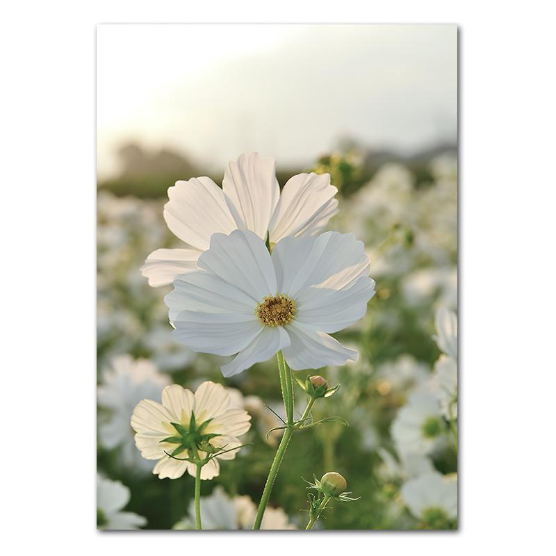 Spring Flowers Tulips Lemon Nature Posters Prints Jungle Deer Bike Wall Art Pictures Canvas Painting Nordic Home Room Decor