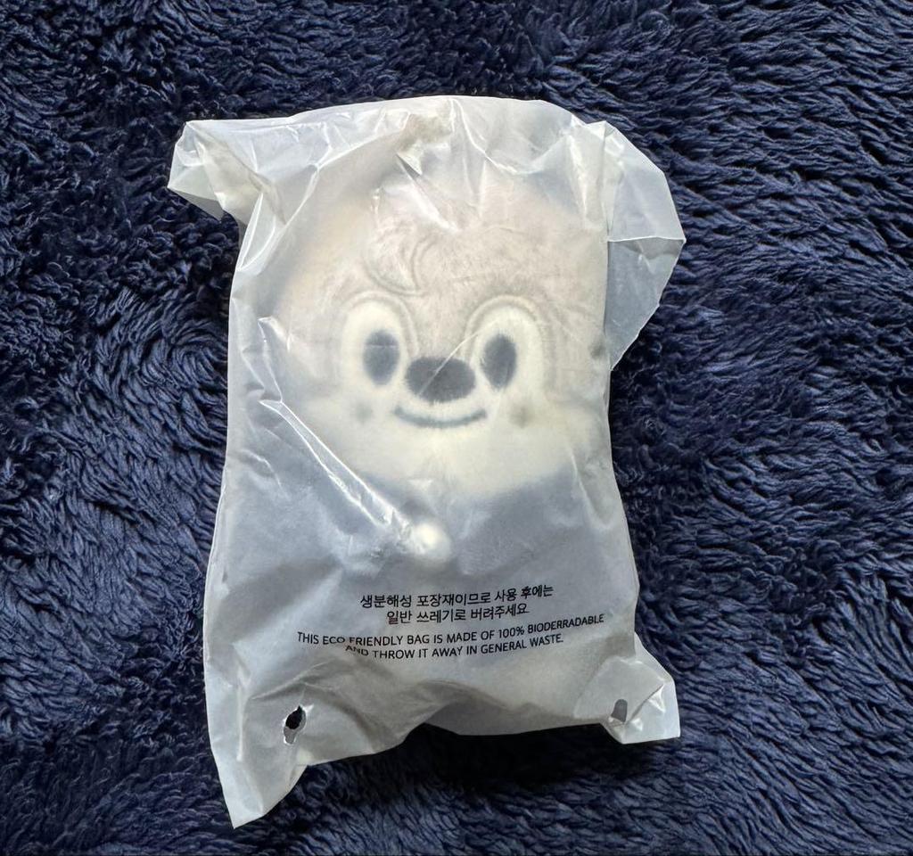 [USED] Anonymous Shipping SKZOO Plush Toy 10cm Wolfchan