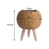 Plant Basket with Legs Basket Planter Stable Modern Display Flower Pot Rattan