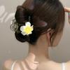 Pearl Hair Claw Korean Style Shark Clip Creative Eggflower Hair Clip  Female
