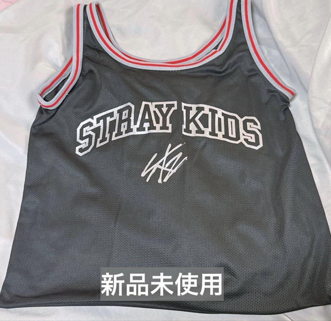

[USED] Stray Kids Upgrade Bonus Mesh Bag Shizuoka Ecopa