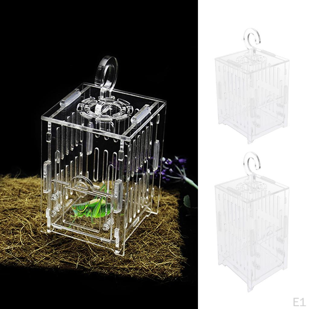 Spider Insect Cricket Tank Vivarium Cage Box Clear Acrylic Terrarium