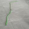 Bing Hui Agility Training Elastic Rope