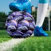 Dolphins Piłka do piłki nożnej halowej Rozmiar 5 Kolorowa Dla wszystkich grup wiekowych Szyta maszynowo PVC Gotowa do zawodów Trwała Wysoko odbijająca