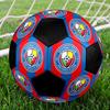 1 pz Pallone da Calcio FC Viktoria Plzen Taglia 5 Pallone da Calcetto Indoor alla Moda Colorato Gioco per il Cortile - Ottimo Regalo per Appassionati di Sport HE38