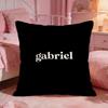 GGabrielS Classic Brand Cushion Cover Premium Comfort Reversible Pillow Cove Two In One Design For Any Room  Car Interior