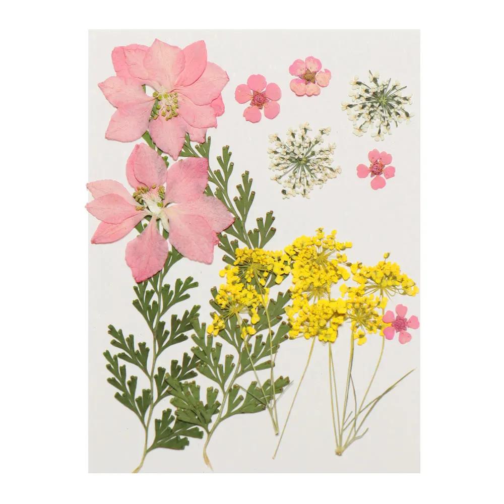 Real Natural Dried Flowers Pressed Flowers Resin Mold Fillings Flower for DIY Candle Resin Crafts Jewelry Nail Art Beauty Decal