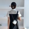 Clip Mini Bag Crossbody Bag Women's Fashion Delicate Lipstick Chain Premium New Shoulder Bag Women's Light Luxury