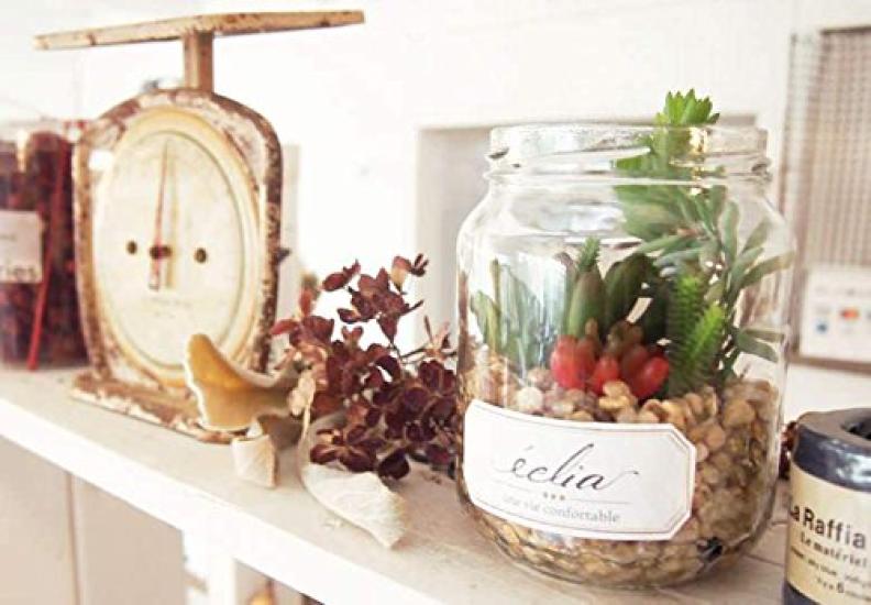 Kishima Eclear Deodorizing Artificial W31 H35 Green, Green, Approx. D8.5 KH-61022