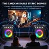 Karaoke-Maschine mit 2 Mikrofonen: HWWR Tragbare Karaoke-Maschine für Erwachsene Kinder, Party-Bluetooth-Lautsprecher mit Bass-/Höhenregelung