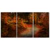 Three Piece Picture Canvas Print Forest Autumn Leaves Nature