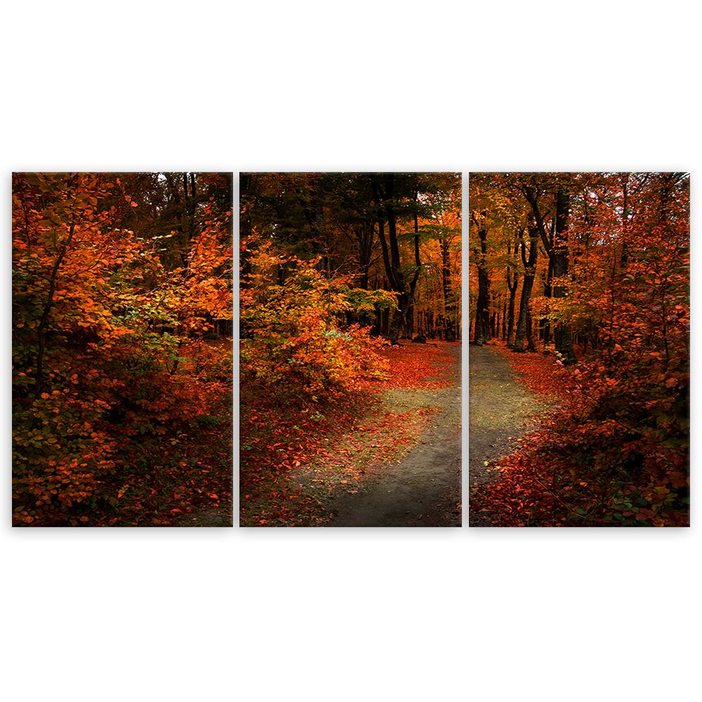 Three Piece Picture Canvas Print Forest Autumn Leaves Nature