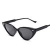 Vintage Cat eye Sunglasses Women Sexy Retro Small Cat Eye Sun Glasses Brand Designer Colorful Eyewear For Female