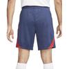 Nike SS23 Logo Men's DJ8596-410