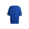 adidas Argentinien Icon 3/4 Trikot Blau HG4239