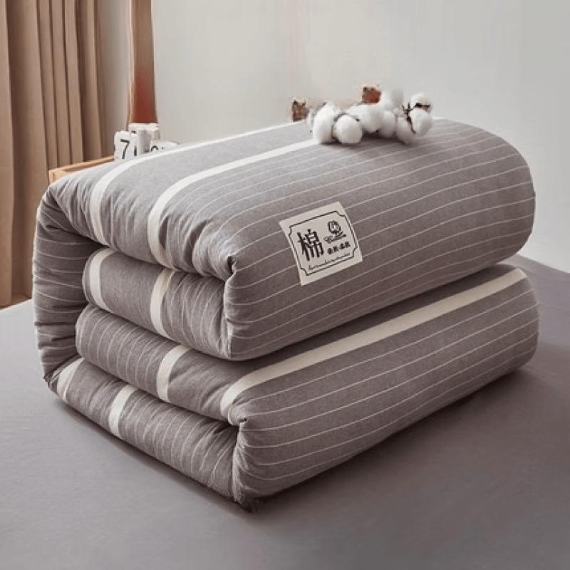 LISM All-Season Xinjiang Cotton Quilt