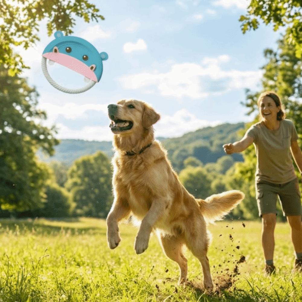 Creative Bite-Resistant Dog Flying Disc Durable Teeth Grinding Dog Training Toy Soft Cartoon Interactive Dog Toy Training