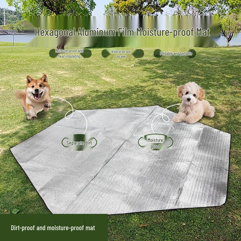 Hodtown Outdoor Waterproof Portable Picnic & Beach Mat
