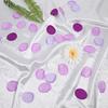 200Pcs Purple White Rose Petals for Wedding Lavender Purple Silk Petals Wedding Aisle Decor Flower Girl Scatter Petal for Valentine's Day Flower