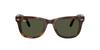 Sunglasses 0RB4105 WAYFARER FOLDING HAVANA GREEN Polarized [Ray-Ban] 710/3150