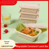 Corn Starch Based Disposable Food Containers with Lids
