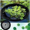 Barrière Flottante pour Plantes d'Aquarium Île Flottante de Flore Filet de Bassin Rond Clôture d'Aquarium pour Animaux Aquatiques d'Intérieur Eau Maison