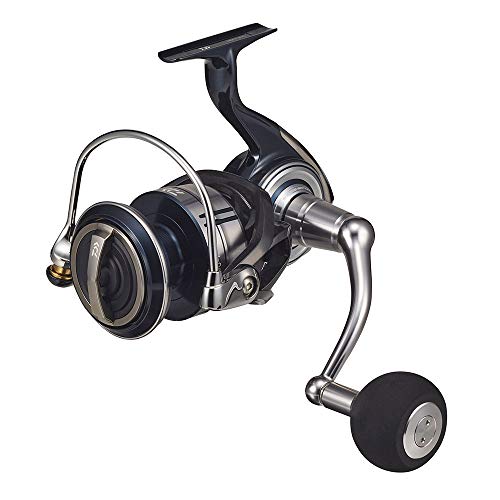 

DAIWA 21 CERTATE SW 10000-P