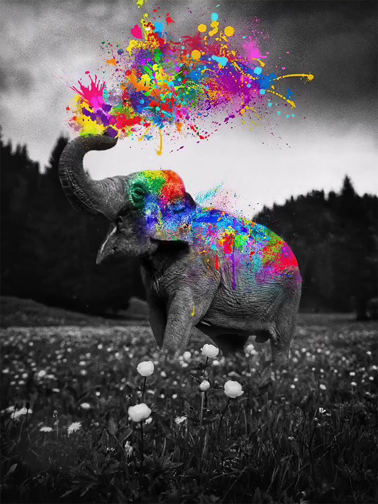 Nordic Painting Colorful Wild Elephant Canvas Wall Art Pictures Animals Poster Decoration for Modern Living Room Home Decoration