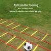 Sports Agility Ladder & Footwork Training Kit