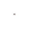 [Purchaser-only Bonus Available] 2026 Adorable Japanese Dog Calendar <Healed by the Healthy and Dignified Expressions of Japanese Dogs> (Includes 2