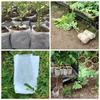 50-100cps Plant Grow Bags Biodegradable Nursery Bag Non-woven Fabric Sedes To Sow Flower Pots For Home Garden Accessories Tools