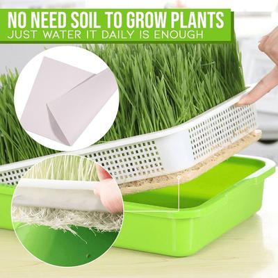 Home Garden Soilless Cultivation Nursery Paper Grow Nursery Pots Plant Box Seed Sprouter Tray Sprout Pot