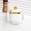 Light Luxury Ceramic Seasoning Jar Set - Moisture-Proof Condiment Storage for Salt & MSG