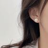 Earrings Niche Design High-end Sense Small Shell Love Stud Earrings French Earrings Ear Buckle Women's Earrings