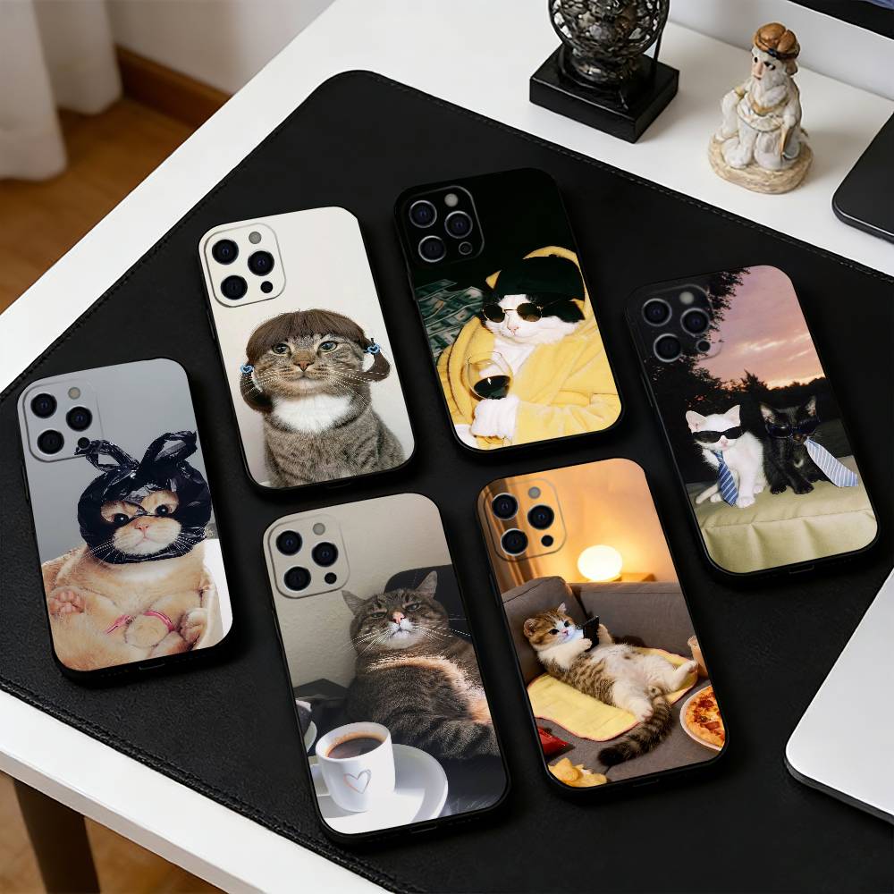 Funny C-Cute Cat Phone Case For iPhone 17, 16,15,14,13,12,11 Plus,Pro Max, Others Soft Black Cover