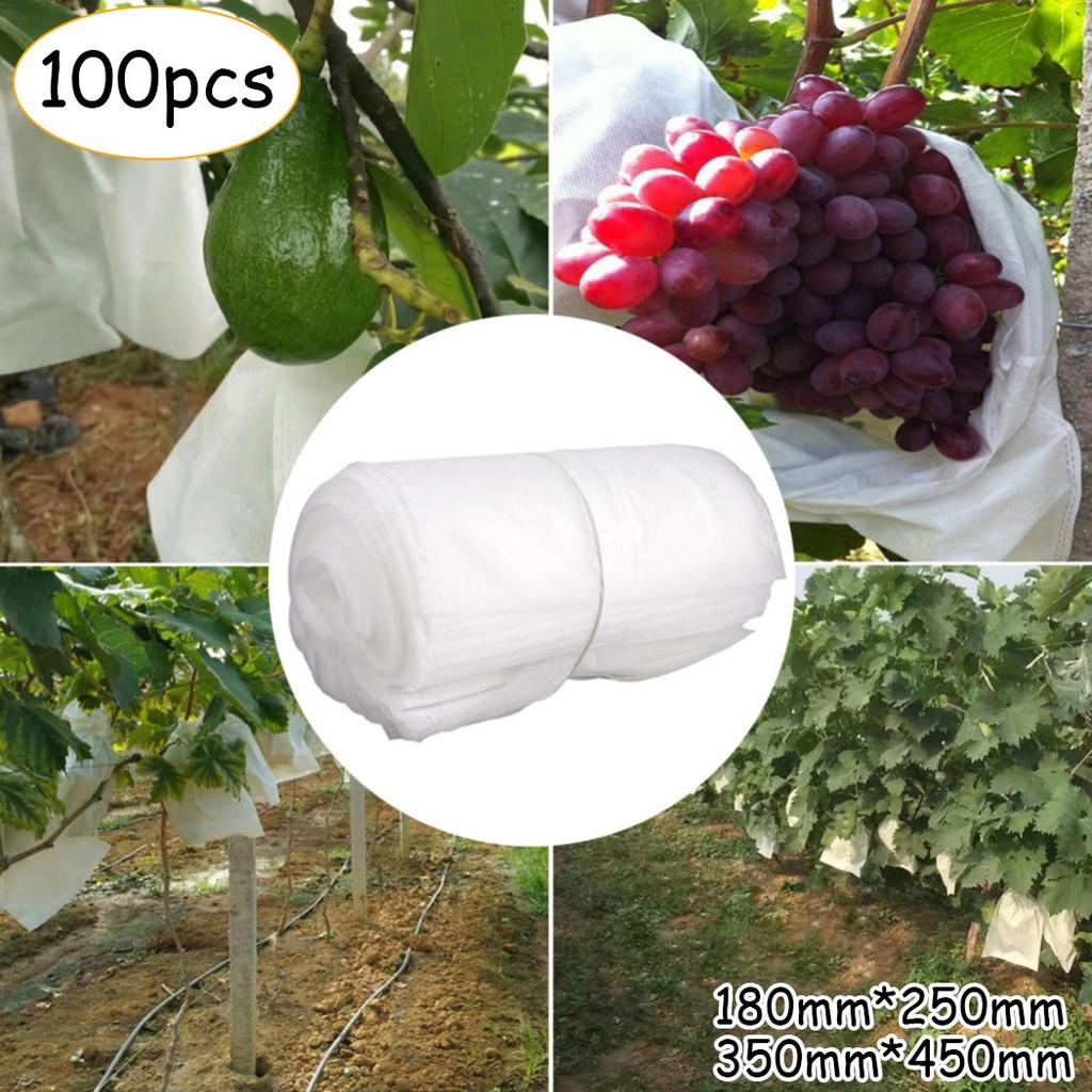 Ochranné sáčky na balení 100 ks ovoce a zeleniny, hrozny